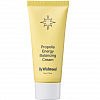 By Wishtrend Propolis Energy Balancing Cream Увлажняющий крем с прополисом и пробиотиками - 2