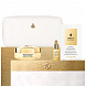 Guerlain Abeille Royale Honey Treatment Age-Defying Ritual Y24 Подарочный набор - 10